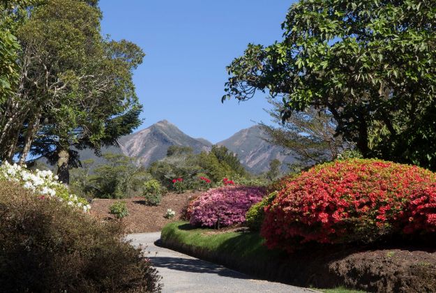 Pukeiti Gardens | Patuha Lodge